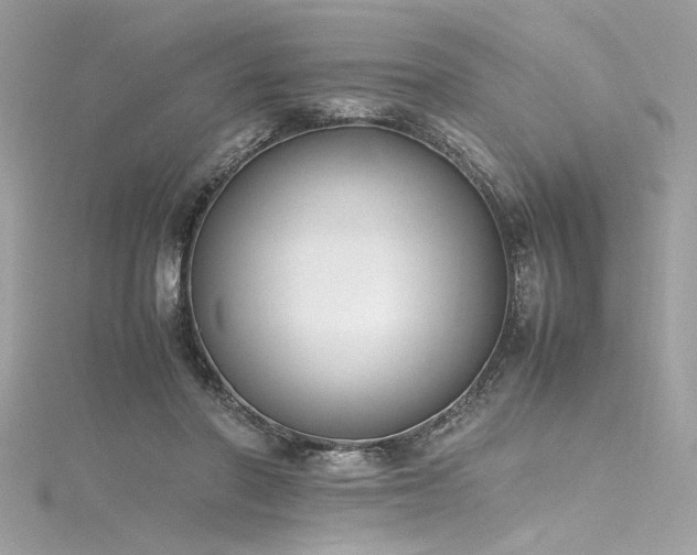 X0000116290406200911301423