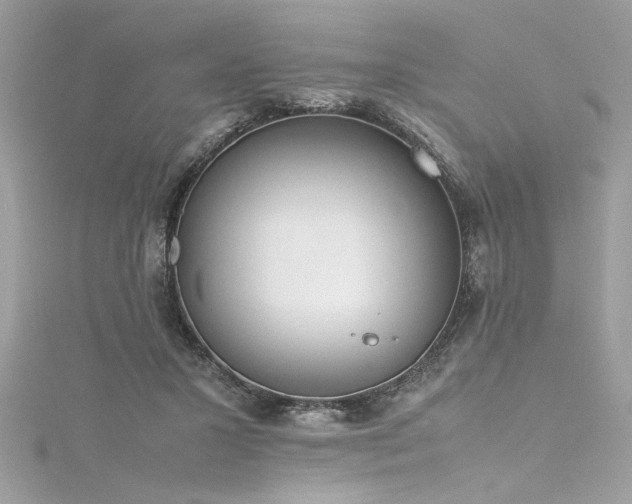 X0000116290407200911301423