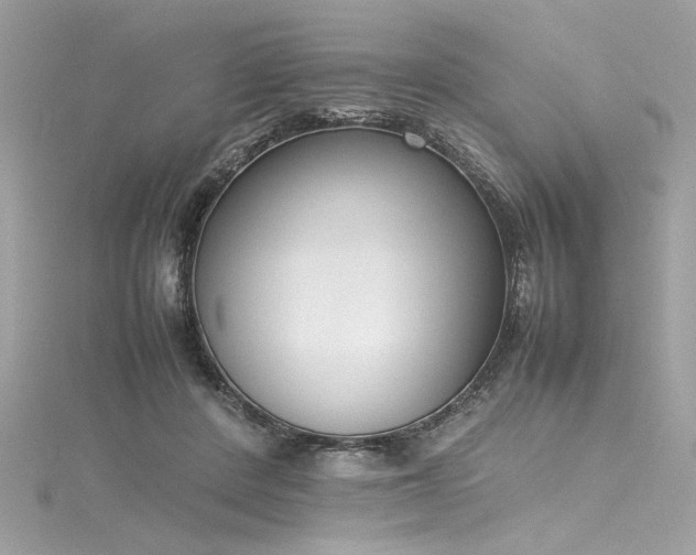 X0000116290408200911301423