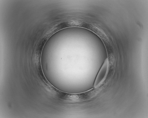 X0000116290409200911301423