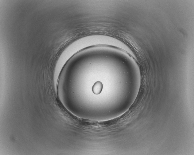 X0000116290411200911301423