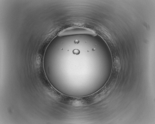 X0000116290412200911301423