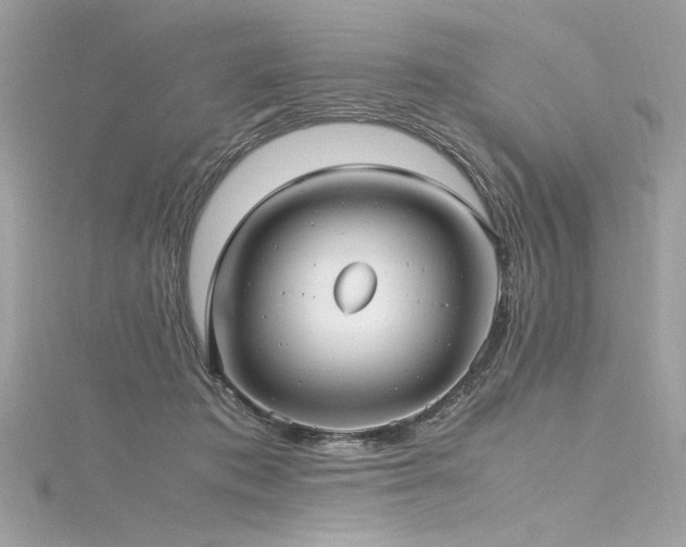 X0000116290413200911301423