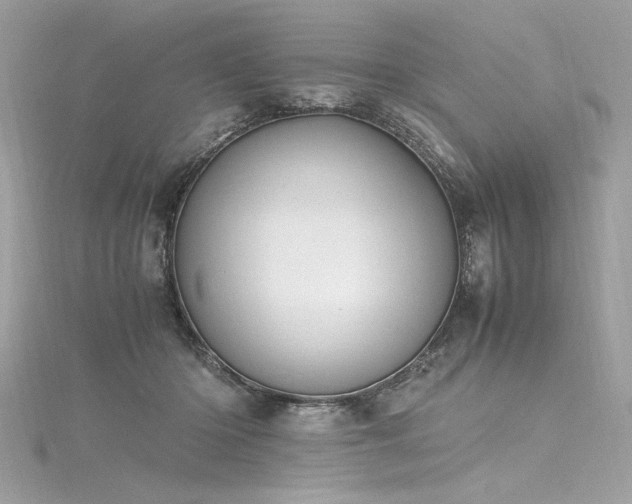 X0000116290414200911301423