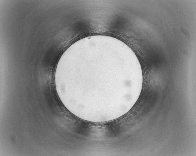 X0000116290415200911301423