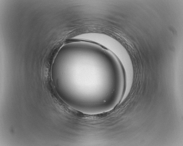 X0000116290417200911301423