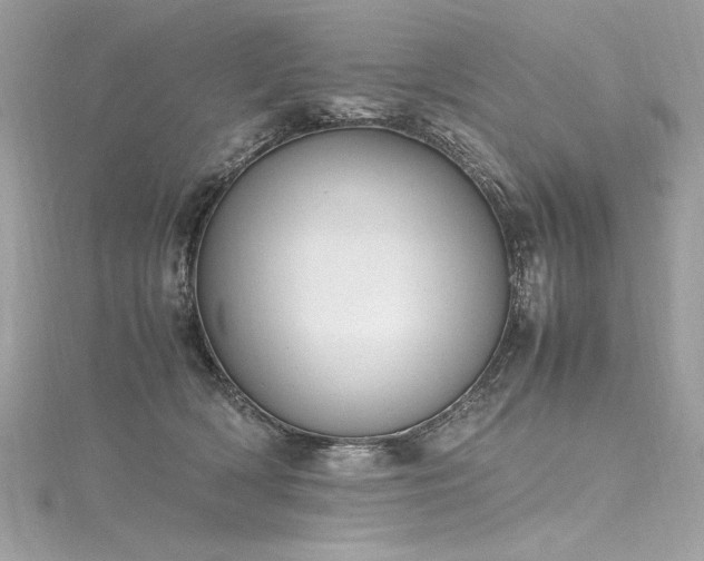 X0000116290418200911301423