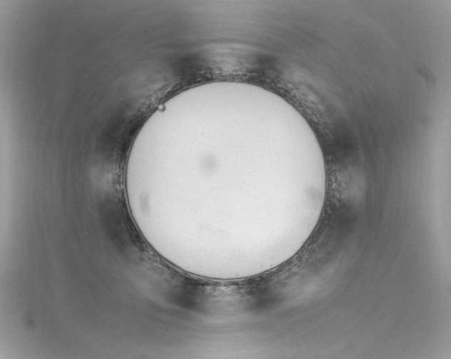 X0000116290419200911301423