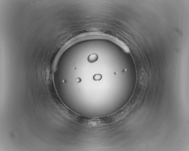 X0000116290420200911301423