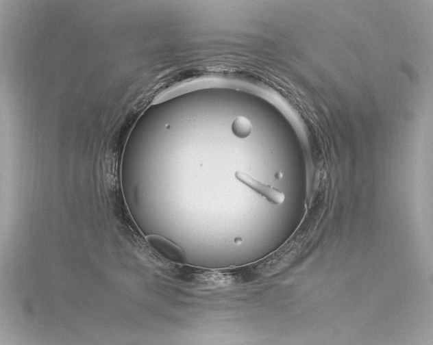 X0000116290421200911301423