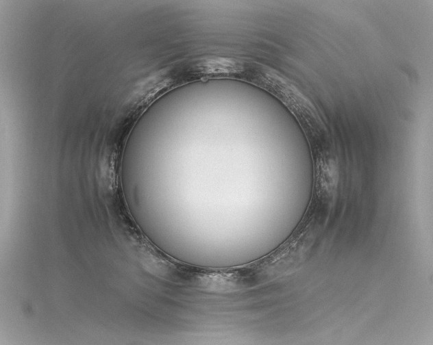 X0000116290422200911301423