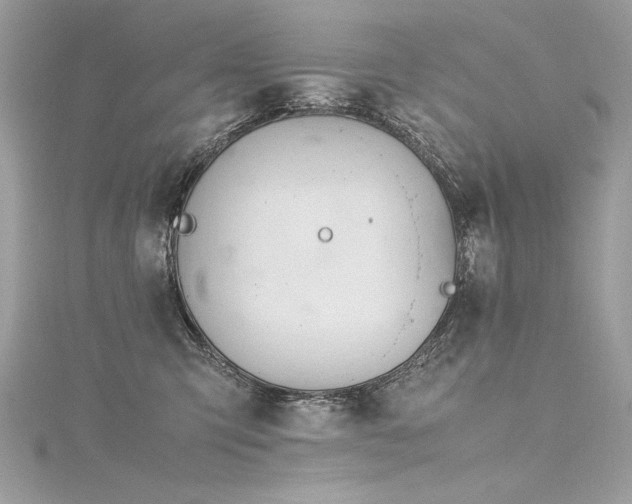 X0000116290423200911301423