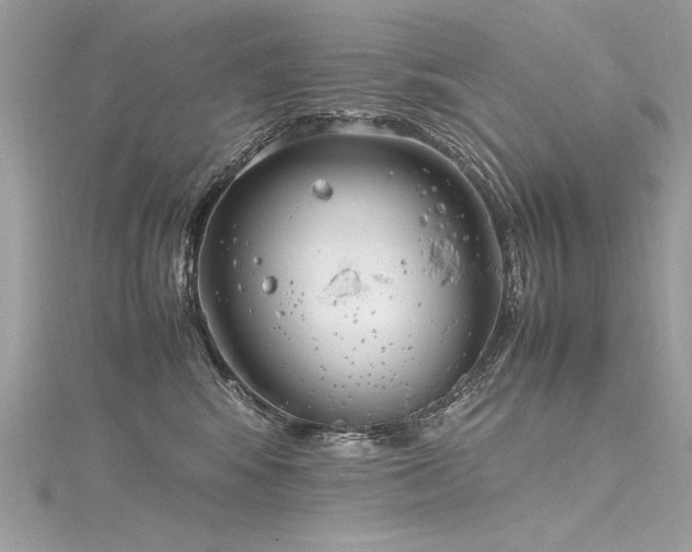 X0000116290424200911301423