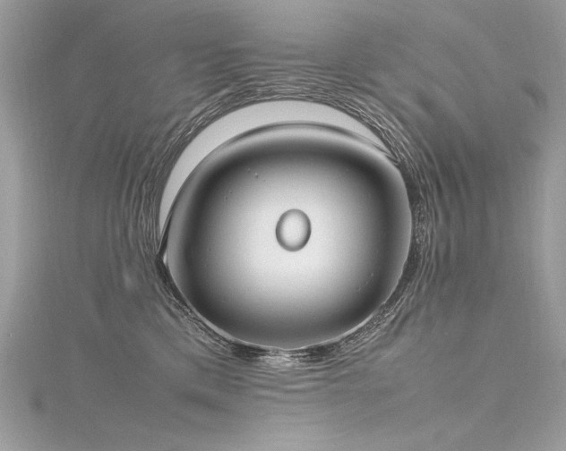 X0000116290425200911301423