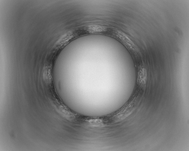 X0000116290426200911301423