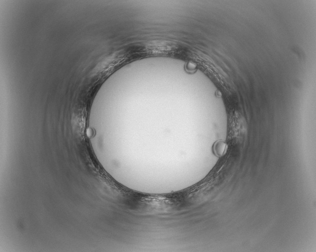 X0000116290427200911301423