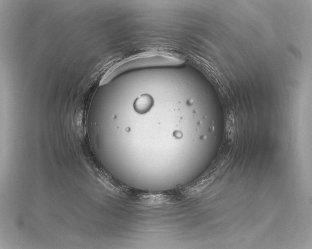 X0000116290428200911301423