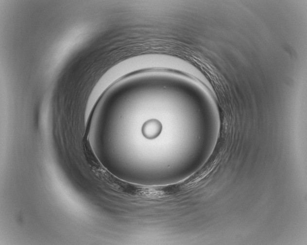 X0000116290429200911301423