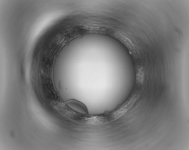 X0000116290430200911301423