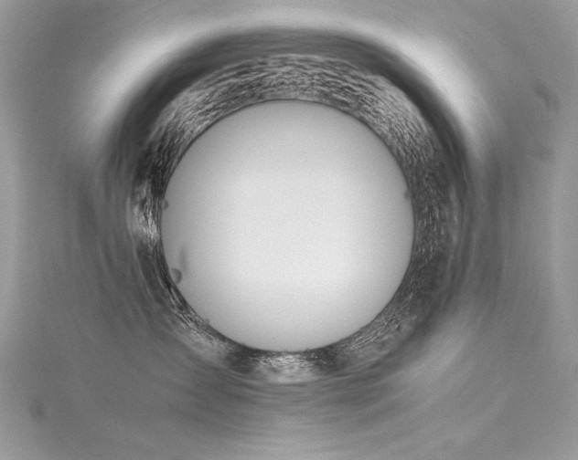 X0000116290431200911301423