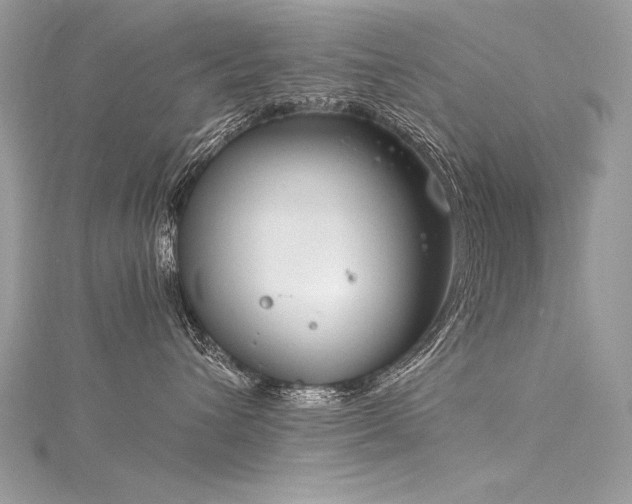 X0000116290432200911301423