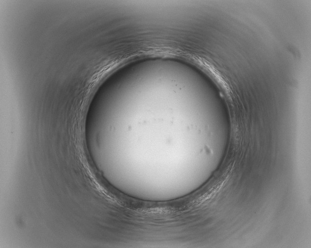 X0000116290433200911301422