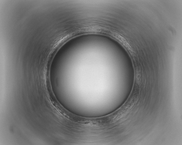 X0000116290434200911301422