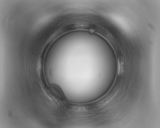 X0000116290435200911301422