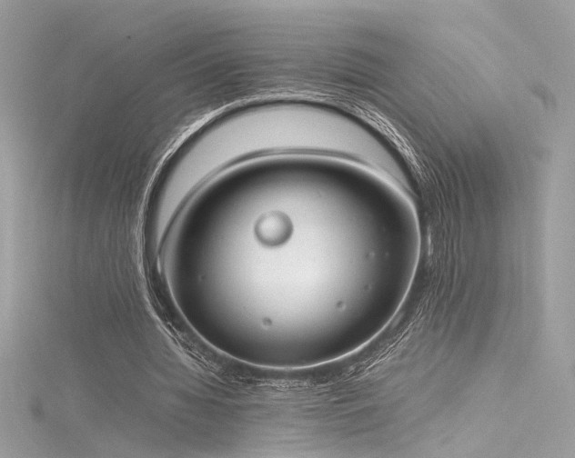 X0000116290436200911301422