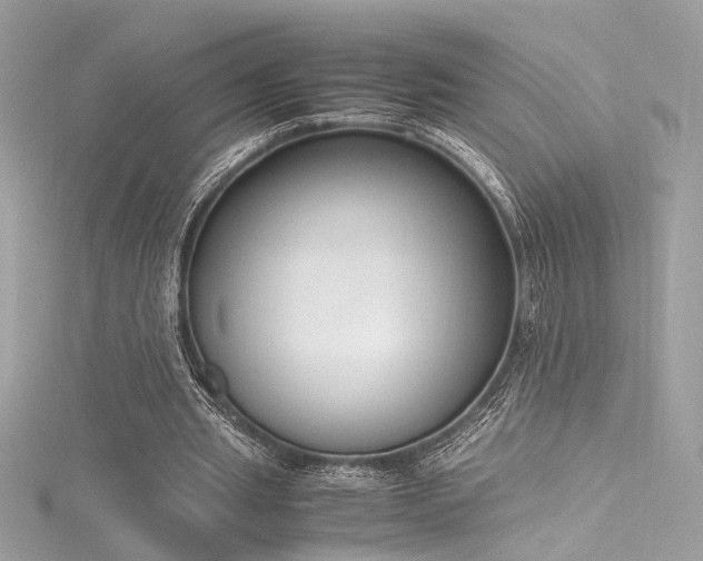 X0000116290437200911301422