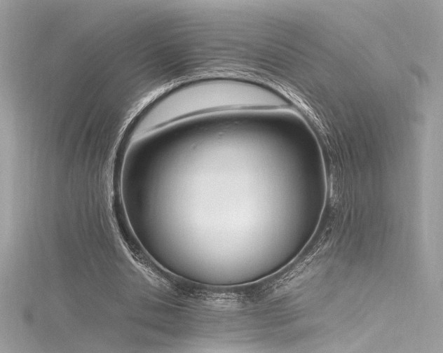 X0000116290438200911301422