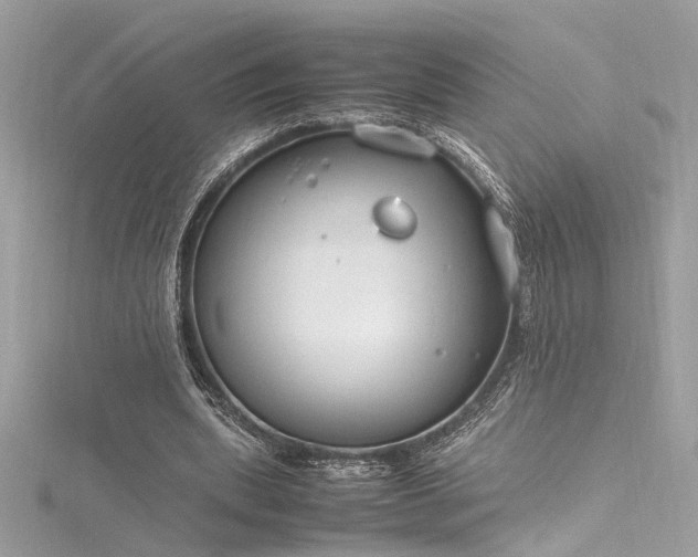 X0000116290439200911301422