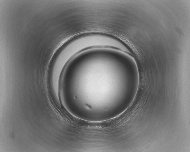 X0000116290440200911301422