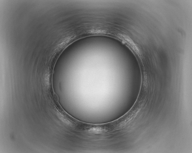 X0000116290441200911301422