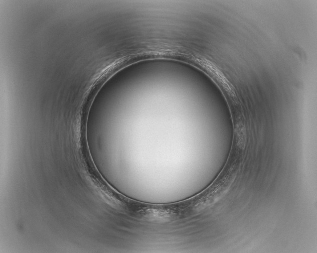 X0000116290442200911301422