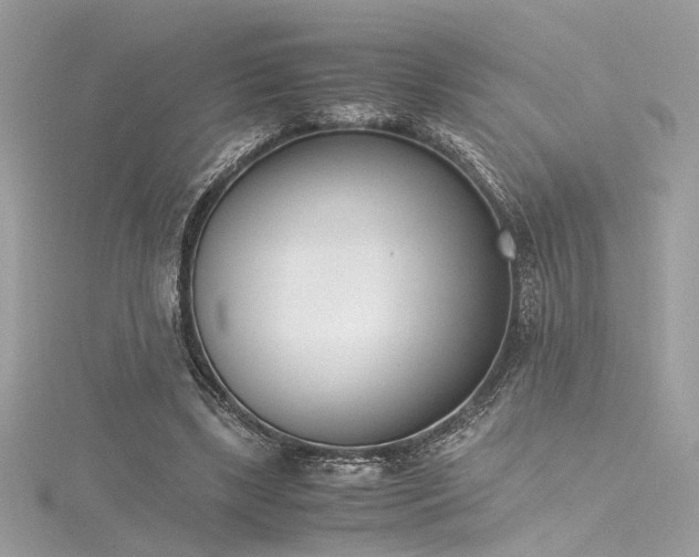 X0000116290443200911301422