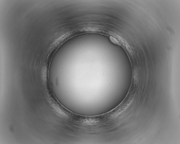 X0000116290445200911301422