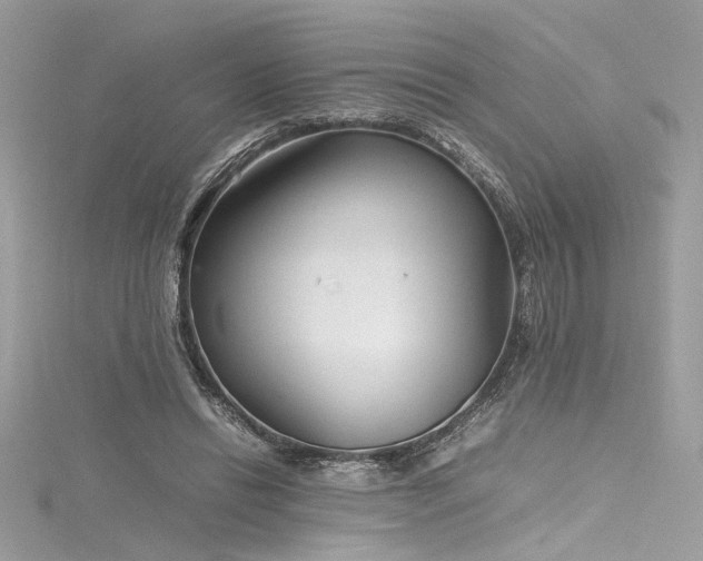 X0000116290446200911301422