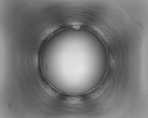 X0000116290447200911301422