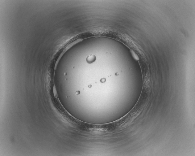 X0000116290448200911301422