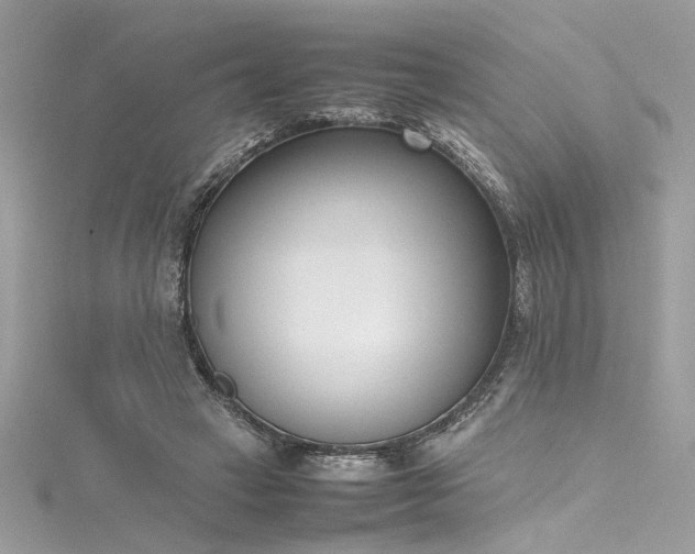 X0000116290449200911301422