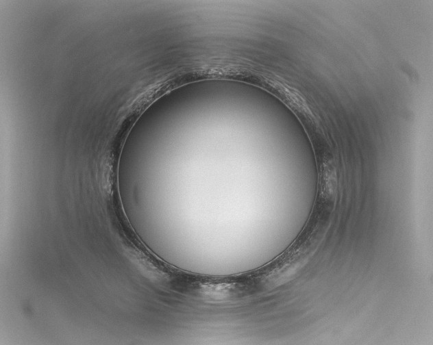 X0000116290450200911301422