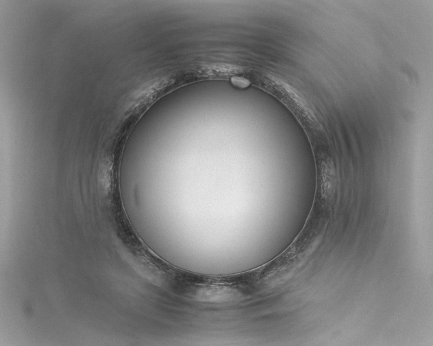 X0000116290451200911301422