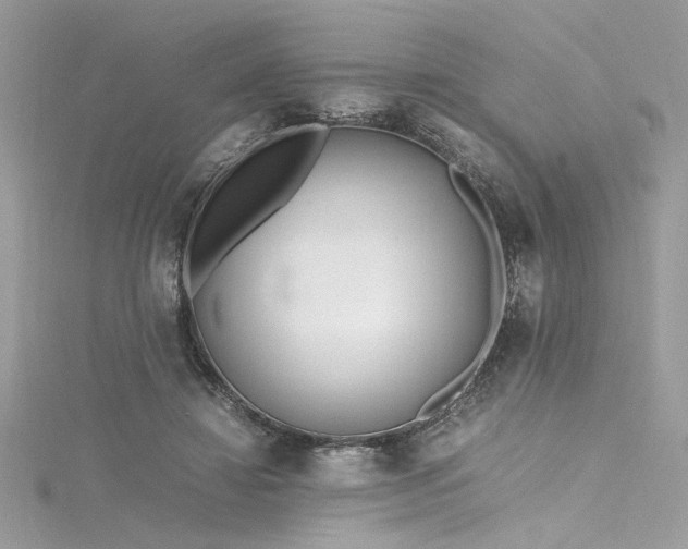 X0000116290452200911301422