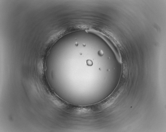 X0000116290453200911301422