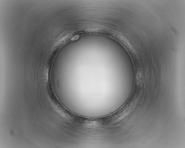 X0000116290454200911301422