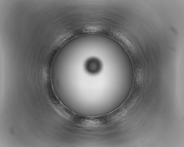 X0000116290455200911301422