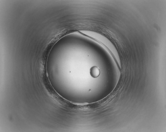 X0000116290456200911301422