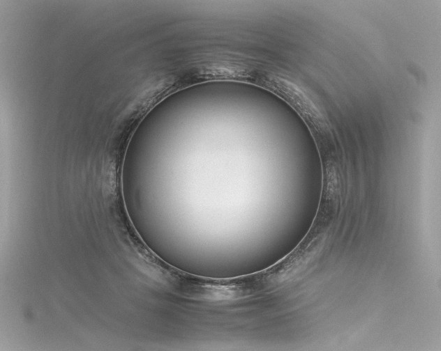 X0000116290457200911301422