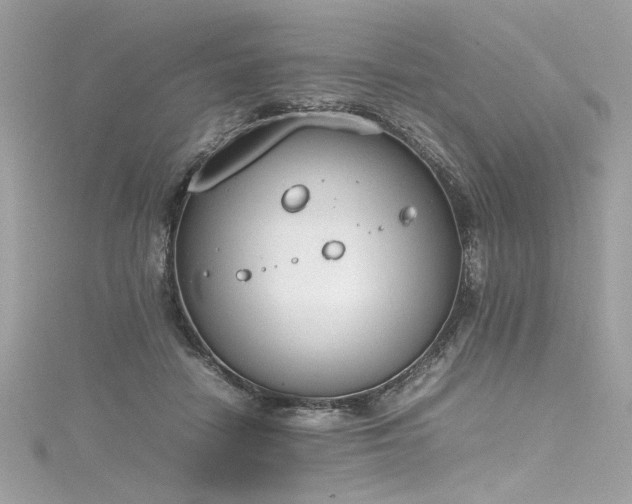 X0000116290458200911301422